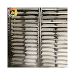 Lait de coco congelé en vrac exporté du Vietnam avec une qualité constante et un prix de gros abordable par carton - Product Image 4