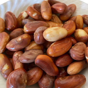 High-quality Jackfruit <b>Nut</b> Rich in Organic Health Care Supplement Organic Jackfruit <b>Nut</b> - Product Image 6