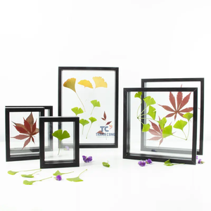 Holesale-Marco de Muestra de hoja de flor seca recreativa, venta al por mayor, marco de foto cuadrado de vidrio de doble cara - Product Image 2
