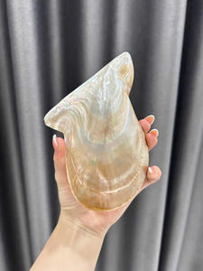 Verre à vin coquillage premium polyvalent décoratif artisanal article offert en vente en gros - Product Image 4