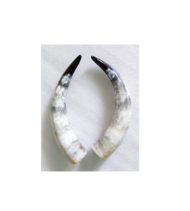 Par de bocina de búhos antiguos, claxon natural montado en la pared, tamaño personalizado, el mejor precio - Product Image 5