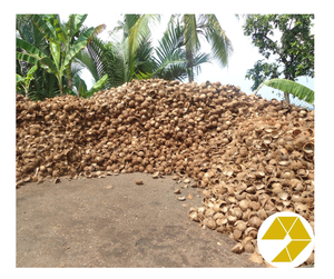 Cáscara de coco cruda de primera calidad para manualidades y fabricación de carbón, suministro a granel 100% a las mejores tarifas listas para exportar de alta calidad para la venta - Product Image 5