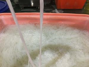 Nouilles konjac Nouilles de riz (calmar) (240g) du VietNam avec OEM - Product Image 3