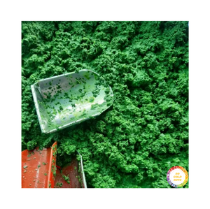 Feuille de manioc congelée de haute qualité 2025 produit naturel du Vietnam certifié IQF traitement séché prix d'exportation compétitif - Product Image 4