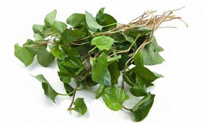 Hojas de Menta Secas Premium (Houttuynia Cordata) 100% Naturales, Grado Té Herbal, Estándar de Exportación a Granel Ms.May - Product Image 2