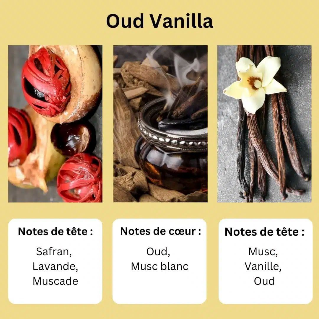 Gebühren Welt Vanille Duftöl – 12 Ml, Für Handgelenk, Hals & Mehr