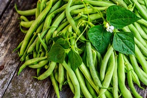 Fresh Premium Legumes Assorted Natural Beans Peas <b>Lentils</b> for Wholesale Food Supply and Export Quality - Product Image 3