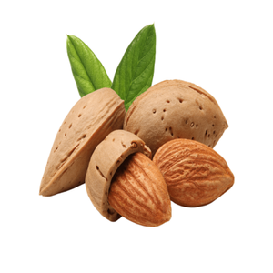 Amandes douces de qualité supérieure, non décortiquées, brutes, séchées, couleur naturelle, en vrac, exportation Thaïlande, vente chaude, noix - Product Image 1