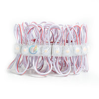 20 pièces/chaîne 160 °   Module LED miniature IP65 1010 taille 12V SMD 2835 0,5W pour la publicité