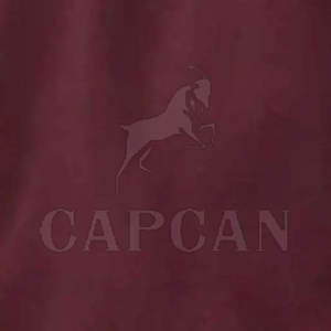 Capcan-Sudadera deportiva de alta calidad para hombre, diseño personalizable con logotipo, estilo liso, todas las tallas, incluida la XL, para invierno - Product Image 6