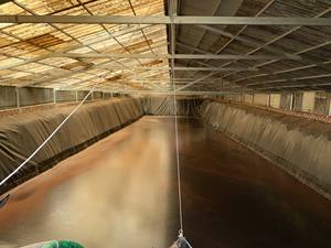 Miel de Caña Negra de Alta Calidad, Brix 74-81, TSAI 50, Vietnam, para Uso Alimentario, Pienso e Industrial - Product Image 3