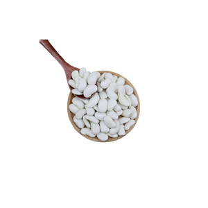 Vente de petits pois blancs pour la transformation alimentaire - Product Image 2