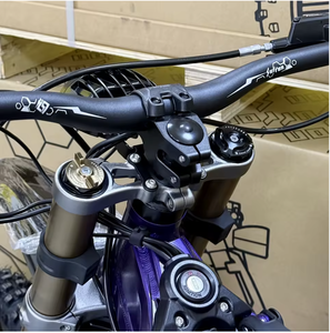 Motocicletas Todoterreno Light Bee X 2025, Motocicleta Eléctrica Lbx de Alta Calidad, Motocicleta de Alta Velocidad - Product Image 2