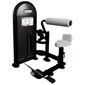 Nouvel appareil Nautilus Instinct Dual pour les abdominaux et le bas du dos, idéal pour la musculation en salle de sport - Product Image 1
