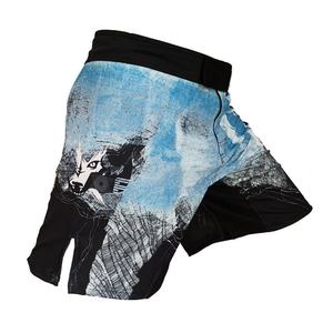 Servicio OEM, Shorts de MMA Personalizados, Ropa de Artes Marciales, Material Cómodo, Shorts de Boxeo MMA para Hombre - Product Image 2