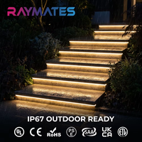 RAYMATES LIGHTING Bande lumineuse LED flexible DC24V adressable Pixel WS2811 pour extérieur, télécommande, IP67, paysage
