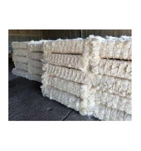 Fibre de sisal naturelle 100% de qualité supérieure UG et SSUG-Sisal brut des exportateurs de qualité supérieure pour la filature - Product Image 5