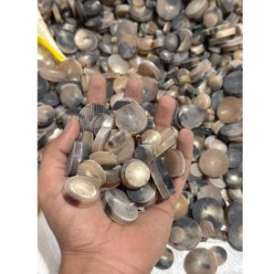 Botones de cuerno de buey de color natural, directamente de fábrica, para costura de prendas de moda, manualidades y creación de botones personalizados. - Product Image 4