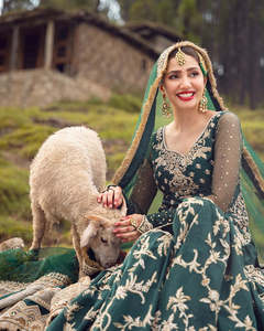 Vestido de Fiesta Formal Moderno de Gasa Real Bordada con Cristales y Volantes de Encaje para Mujer, Estilo Pakistaní - Product Image 3