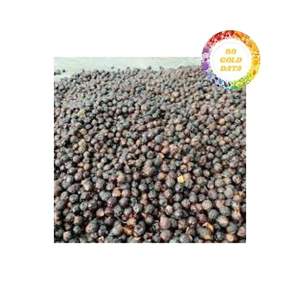 Nueces de Jabón de Vietnam Distribuidas desde un Sitio de Producción Confiable con Atractivas Ofertas al por Mayor, Adecuadas para Múltiples Usos de Limpieza - Product Image 2