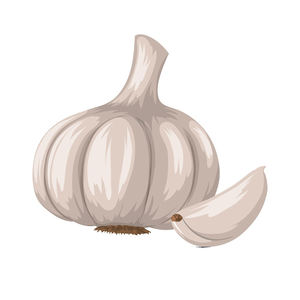 Fournisseur d'ail frais d'origine autrichienne de qualité supérieure avec durée de conservation de 1 an - Product Image 5