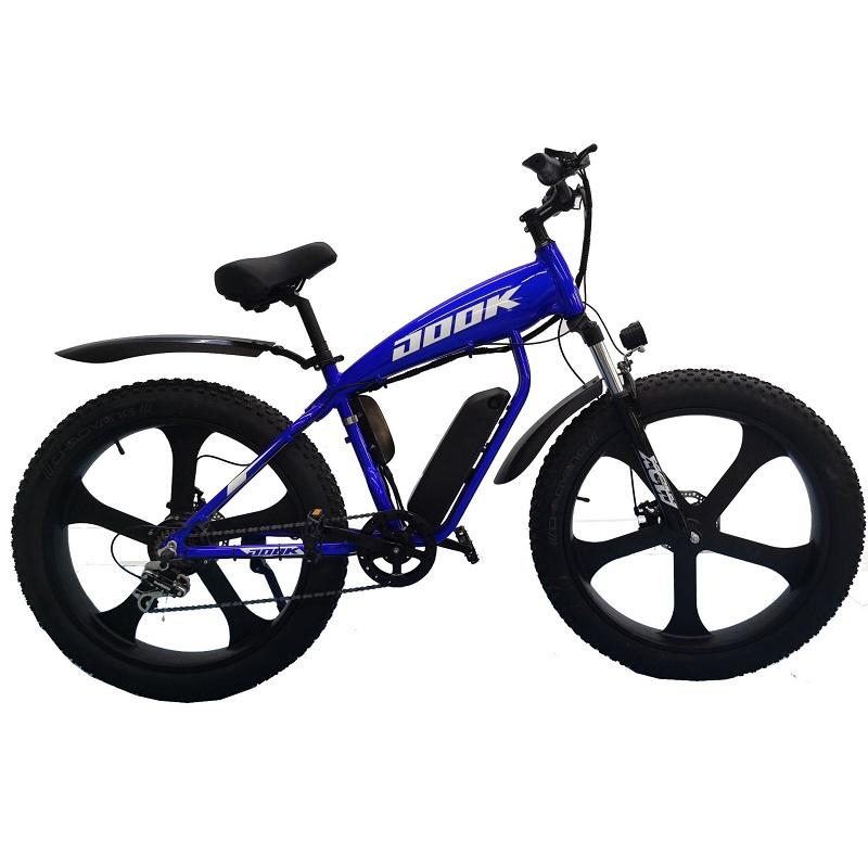 laifook rollgan dolphin electric bike