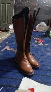 Couverture pour cheval en maille anti-mouches de qualité supérieure 410 g/m², imprimé cheval multicolore, ceinture en maille anti-mouches 410 g/m², imprimé cheval, ceinture - Product Image 5