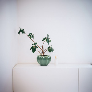 CPB2808PB - Florero Grande Ondulado Verde-Marrón Variegado - 7.6 L x 5.1 A - Product Image 4