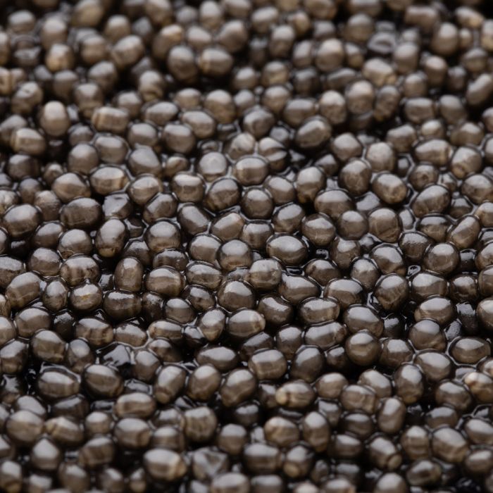 Черная икра осетрА/икра лосося (Аляска)