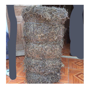 Feuilles de gelée d'herbe séchée de haute qualité pour l'utilisation de gelée et de boissons par 99 Gold Data Premier exportateur du Vietnam - Product Image 5