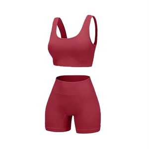 Conjunto Deportivo de Brasier Deportivo y Pantalones Cortos sin Costuras para Mujer, de Alta Calidad, Secado Rápido, Transpirable, para Gimnasio y Fitness de Verano - Product Image 5