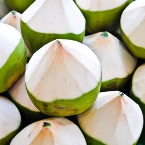 COCO JOVEN FRESCO DE ALTA CALIDAD CON EL MEJOR PRECIO DE VIETNAM-Sra. Laura - Product Image 6