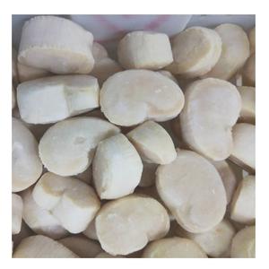 เนื้อหอยเชลล์แช่แข็ง IQF คุณภาพดี ไม่มีเปลือก อายุการเก็บรักษา 2 ปี - Product Image 5