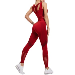 Conjunto de Yoga Deportivo sin Costuras para Mujer, Otoño, Suave y Cómodo, Sujetador Deportivo y Leggings Transpirables, Ropa Deportiva Diaria - Product Image 6