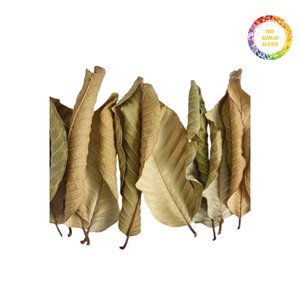Feuilles de goyave séchées en vrac pour mélanges de thé personnalisés, boissons saines et remèdes naturels à base de plantes - Product Image 1