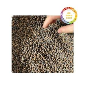 Graines de papaye séchées de haute qualité disponibles pour l'achat en gros en quantités importantes avec des services d'expédition fiables - Product Image 4