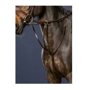 Horsekraft Premium Cuir Performance Training Circonférence Carré Surélevé Boucles en laiton Réglable Côté Fantaisie Durable pour la course - Product Image 1