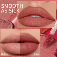 Gloss à lèvres personnalisé, ingrédients liquides à base de plantes, marque privée, végan, hydratant, mat, longue durée, imperméable, formule anti-adhésive, logo