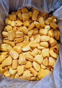 ขนุนแช่แข็งเกรดเยี่ยมหวานทองเนื้อไร้เมล็ดผลิตภัณฑ์จากเวียดนาม - Product Image 3