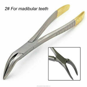 Pinzas dentales 2023 más vendidas, fragmento de raíz, alicates de extracción de dientes mínimamente invasivos - Product Image 4