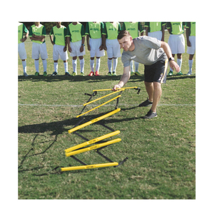 Échelle d'entraînement d'agilité et de vitesse 100 % excellente, disponible à bon prix depuis l'Inde - Product Image 5