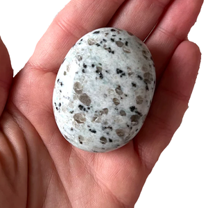 Cristal Kiwi jaspe pierre de palmier pierre naturelle pierre de guérison galet palmier sculpté Quartz Agate cristal pierres de palmier - Product Image 4