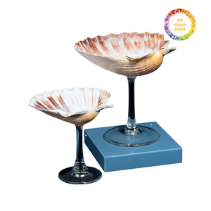 Vỏ trang trí theo chủ đề biển với thân cây cho các dự án trình bày trực quan, phong cách quán cà phê bãi biển và các điểm nhấn nội thất thủ công - Product Image 6