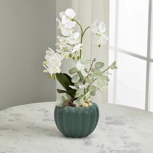 CPB2907PB - Medium Weathered Hunter Green Pumpkin <b>Pot</b> - 6.4 W x 4.5 H - Product Image 5