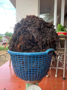 Natural Dried Sargassum Seaweed High Alginate Content for Fertilizer <b>Production</b> and <b>Animal</b> Feed Bulk - Product Image 4