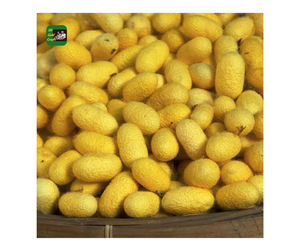Silkworm Cocoon Premium Raw White Yellow Fiber para textiles Silkworm Cocoon Craft Decoration Vietnam Direct Export - Product Image 1