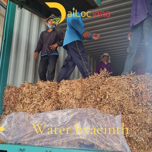 Jacinto de agua Ried utilizado para el almacenamiento del hogar y la cocina - Product Image 1