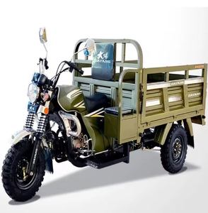 รถสามล้อไฟฟ้า DAYANGS H5 ขนาด 200 ซีซี แบบมีที่นั่งคนขับเปิด เหมาะสำหรับการขนส่งสินค้าหนัก - Product Image 4