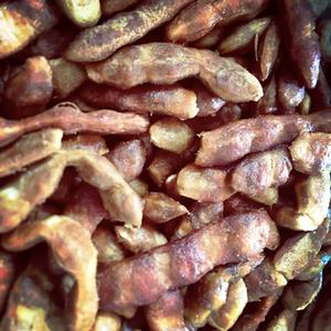 Tamarin séché en gros avec graines pour la cuisine et les boissons - Product Image 4