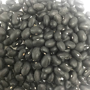 Meilleur prix pour la vente en gros de haricots noirs séchés, commandez en gros et obtenez une réduction - Product Image 4